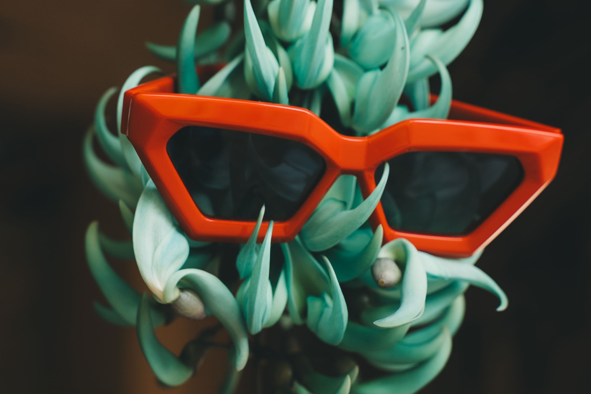 BSIGTH EYE WEAR